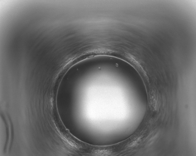 X0000060230063200510311558