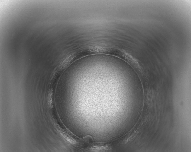 X0000060230065200510311558