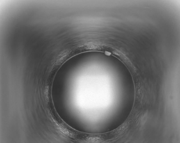 X0000060230066200510311558