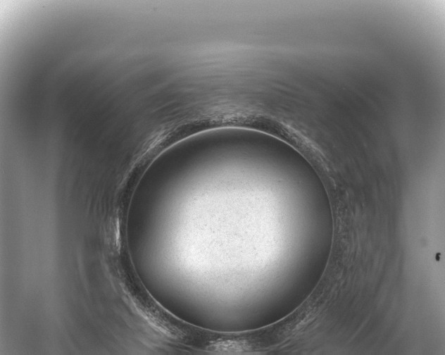 X0000060230067200510311558