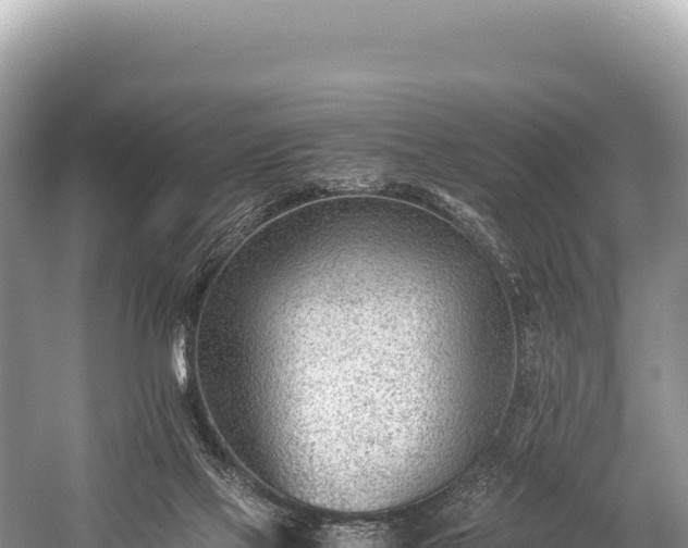 X0000060230069200510311558