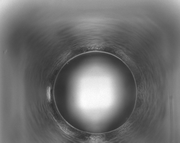 X0000060230070200510311558