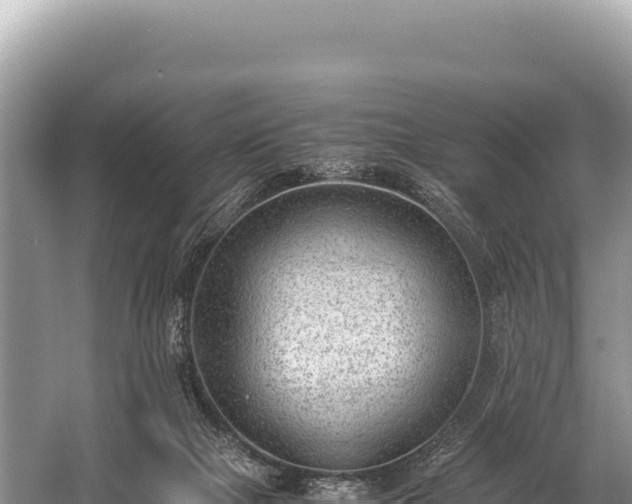 X0000060230073200510311558