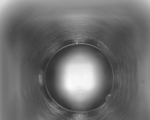 X0000060230074200510311558