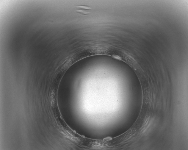 X0000060230077200510311558