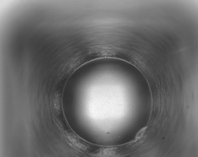 X0000060230078200510311558