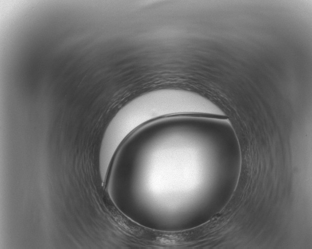 X0000060230079200510311558