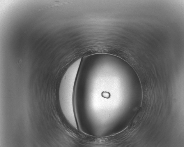 X0000060230080200510311558