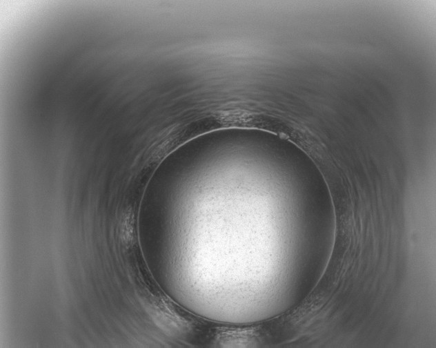 X0000060230081200510311558