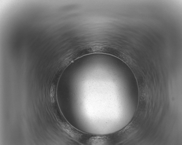 X0000060230082200510311558