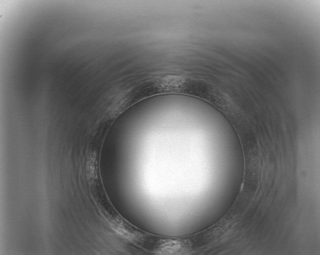 X0000060230083200510311558