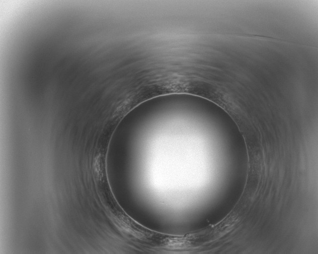 X0000060230088200510311558