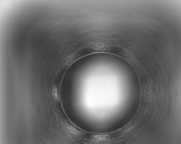 X0000060230089200510311559