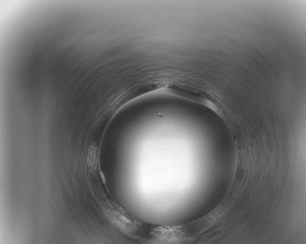 X0000060230093200510311559