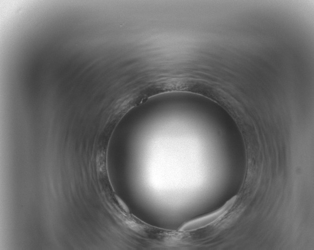 X0000060230096200510311559