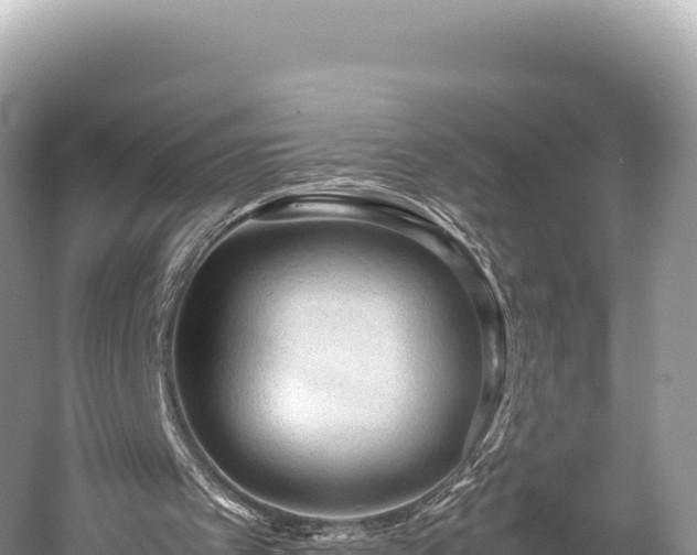 X0000060230097200510311558