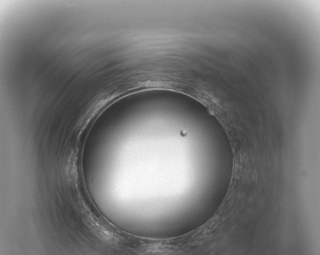 X0000060230098200510311558