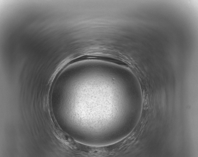 X0000060230099200510311558