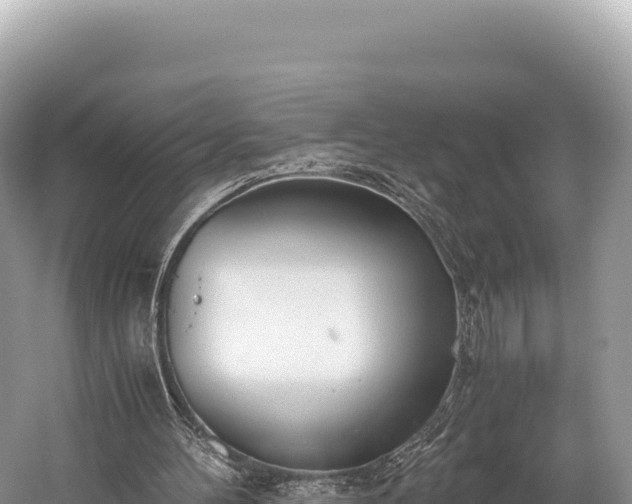 X0000060230100200510311558