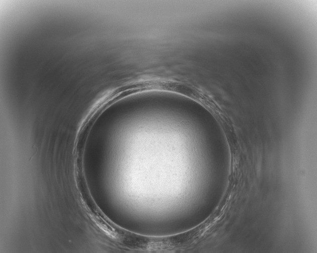 X0000060230101200510311558