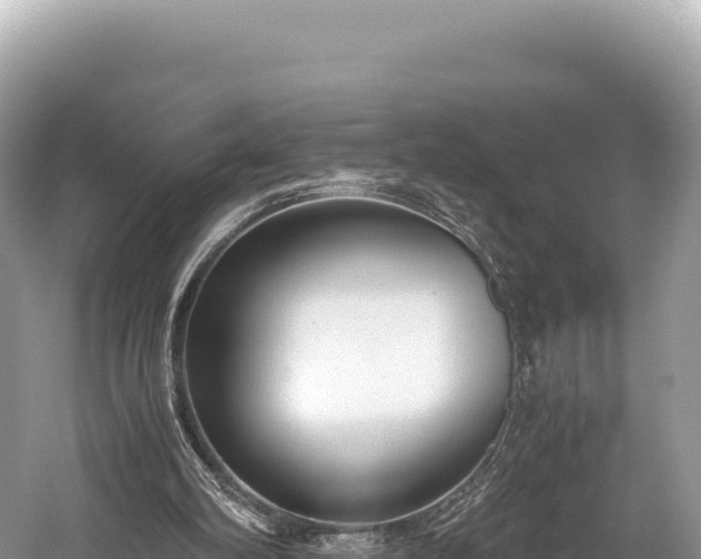 X0000060230102200510311558