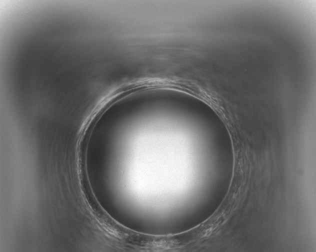 X0000060230103200510311558