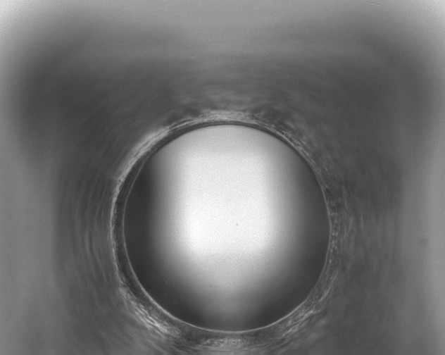 X0000060230104200510311558