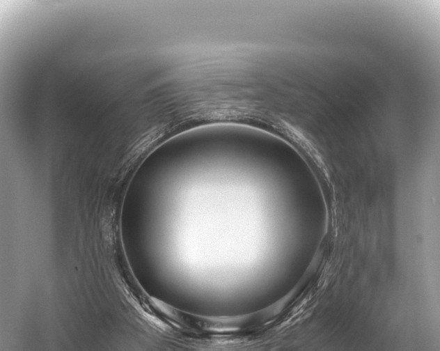 X0000060230105200510311558