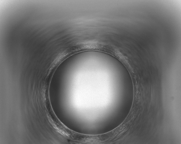 X0000060230106200510311558