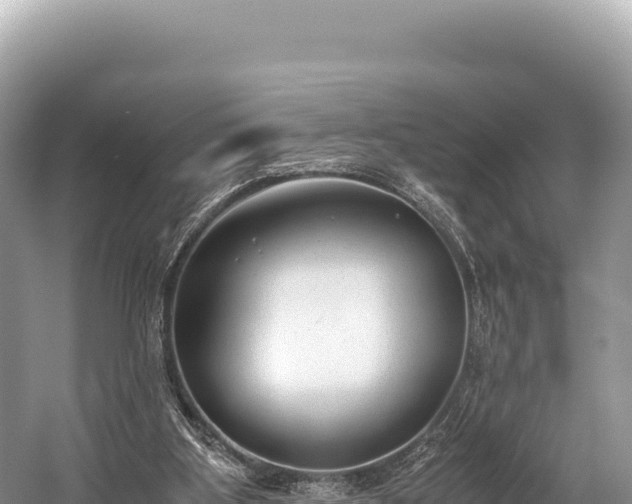 X0000060230107200510311558