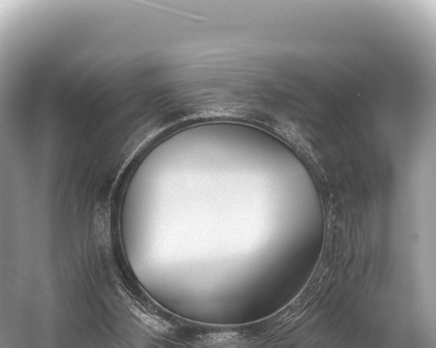 X0000060230108200510311558