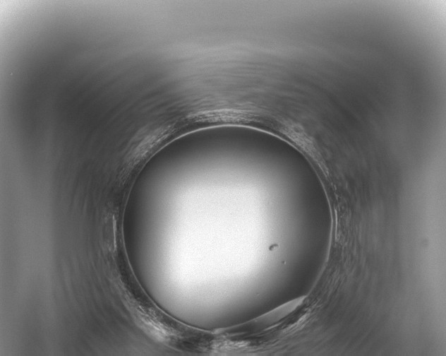 X0000060230109200510311558