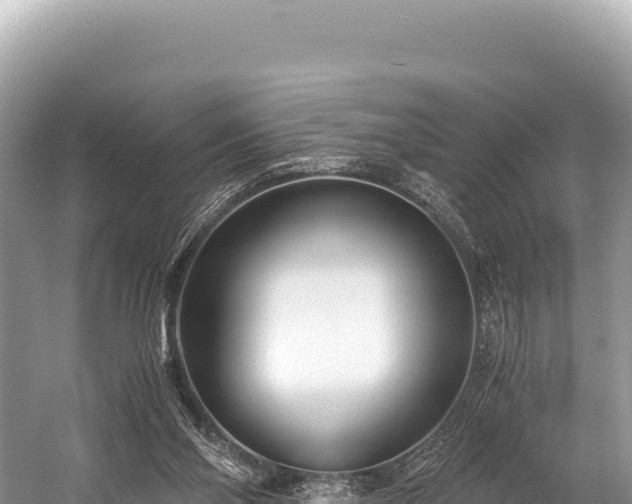 X0000060230110200510311558