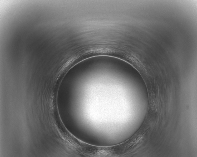 X0000060230111200510311558