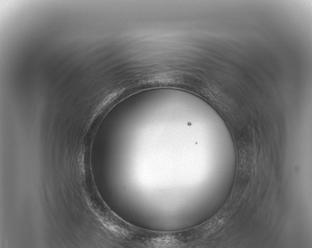 X0000060230112200510311558