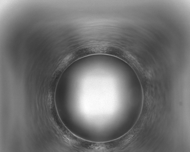 X0000060230113200510311558