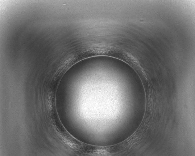 X0000060230114200510311558