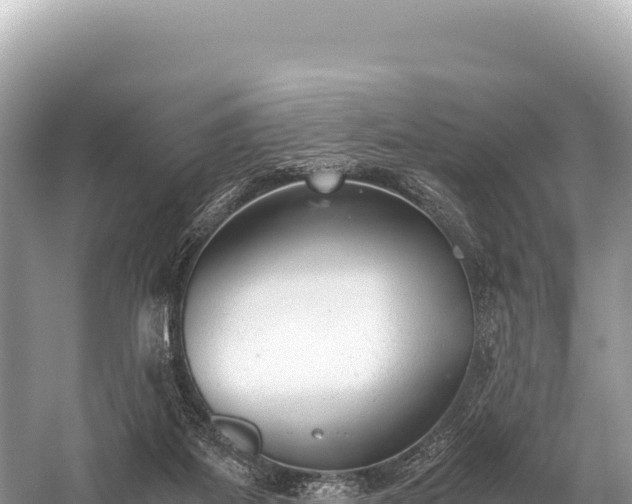 X0000060230115200510311558