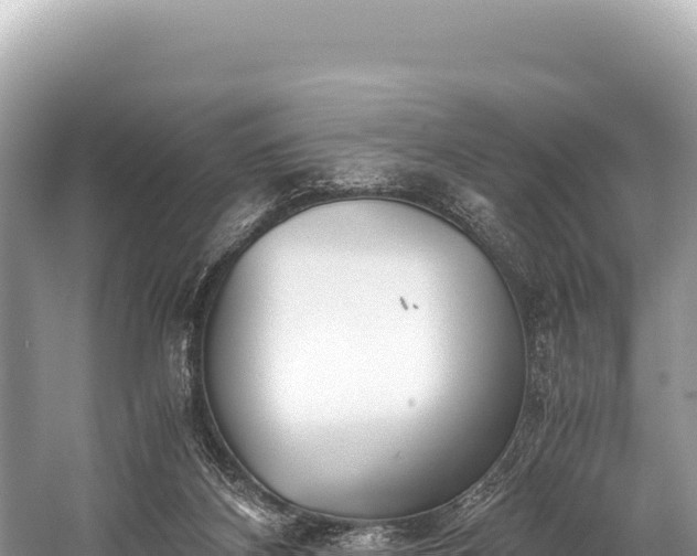 X0000060230116200510311557