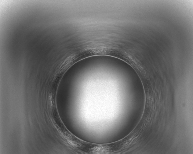 X0000060230117200510311557