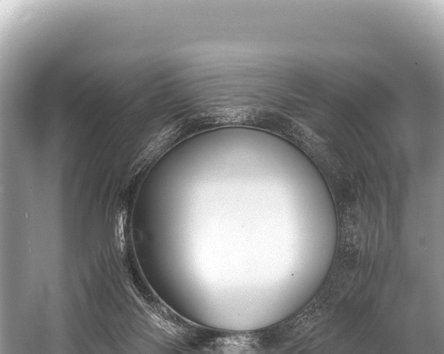 X0000060230118200510311557