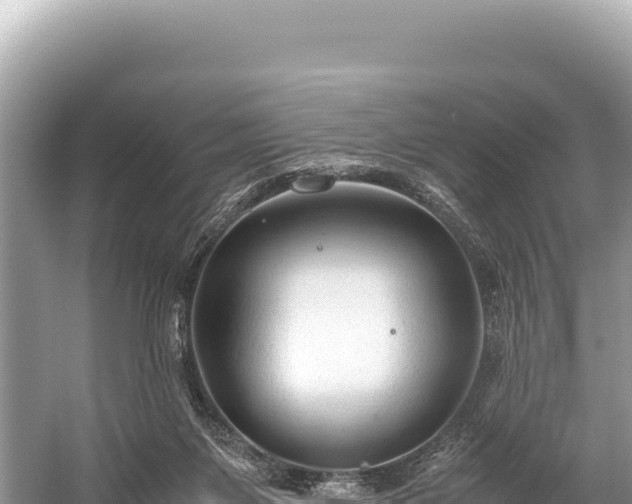 X0000060230119200510311557