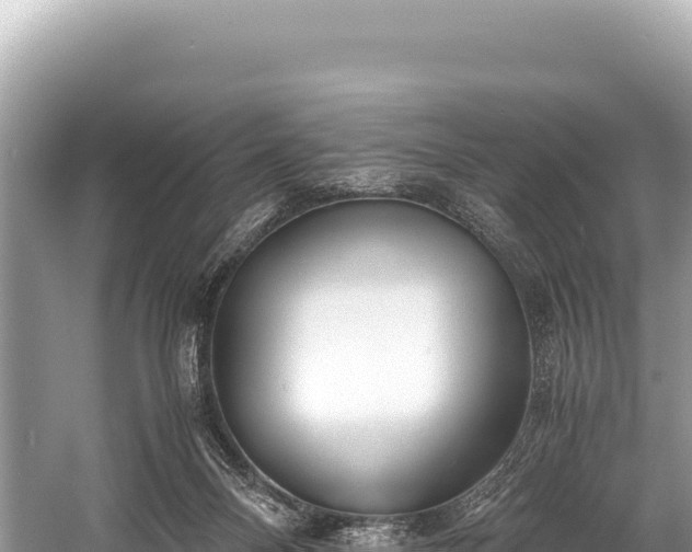 X0000060230120200510311557