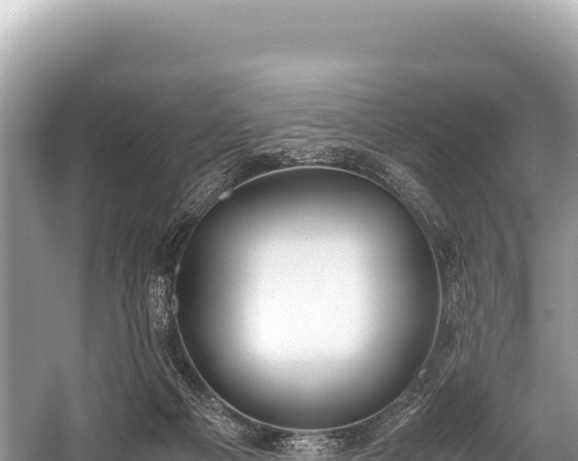 X0000060230121200510311557