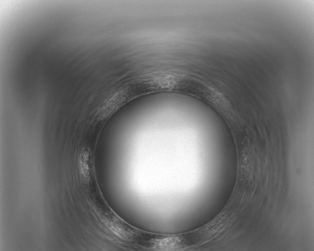 X0000060230122200510311557