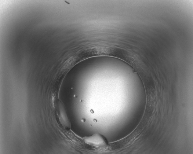 X0000060230123200510311557