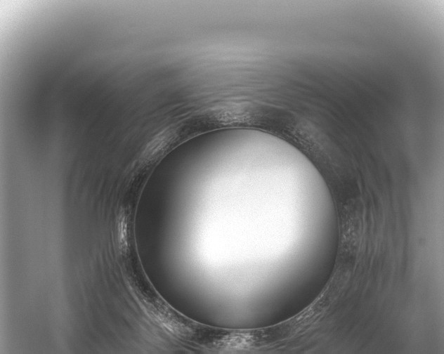 X0000060230124200510311557