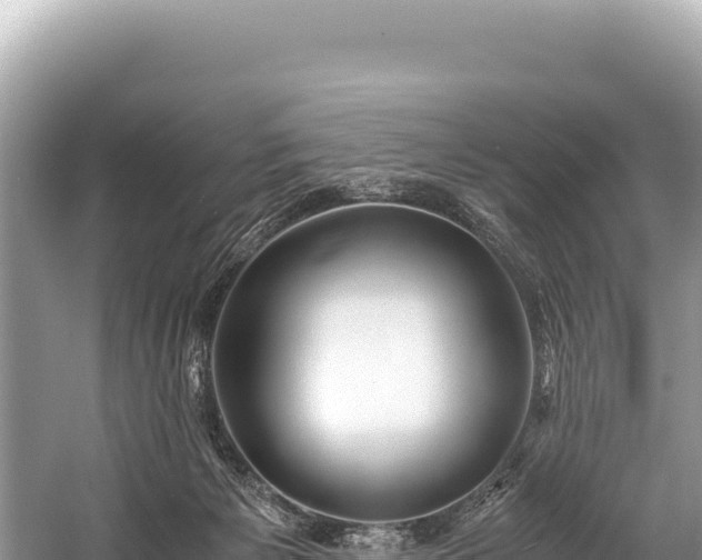 X0000060230125200510311557