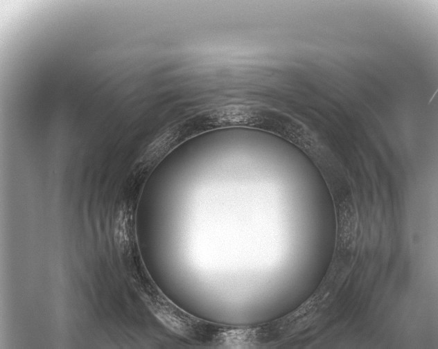 X0000060230126200510311557