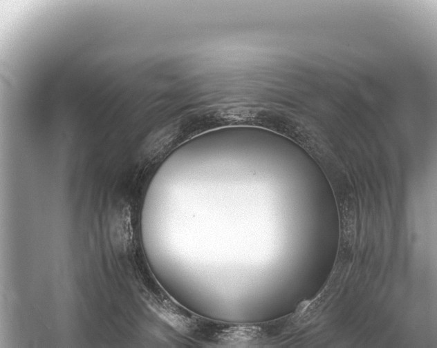 X0000060230128200510311557